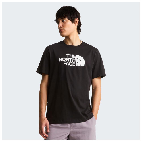 The North Face Ανδρική κοντομάνικη μπλούζα Evolution Half Dome Regular T-Shirt